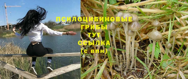 mdpv Баксан