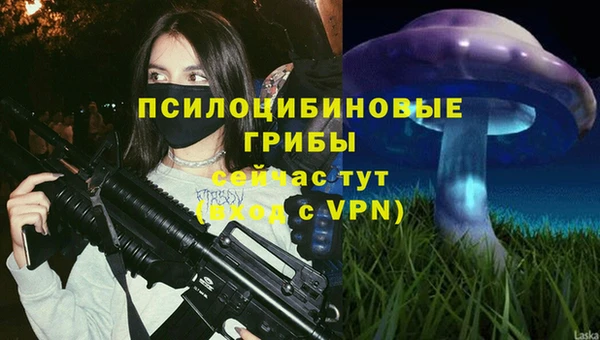 mdpv Баксан