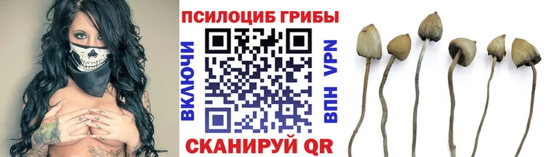 Псилоцибиновые грибы MAGIC MUSHROOMS  mega ссылки  Ужур 